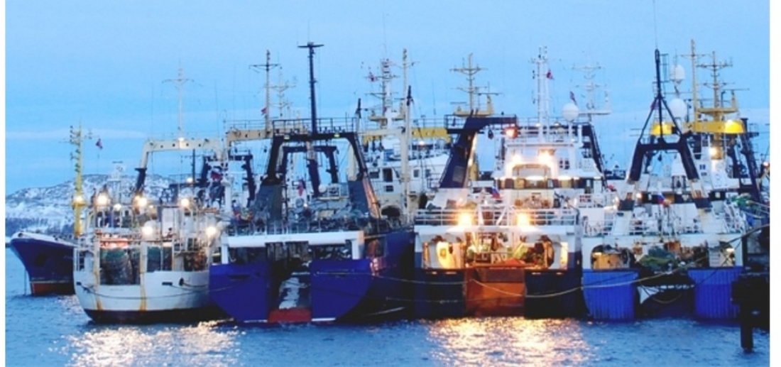 Seafood Sustainability - Responsible Sourcing