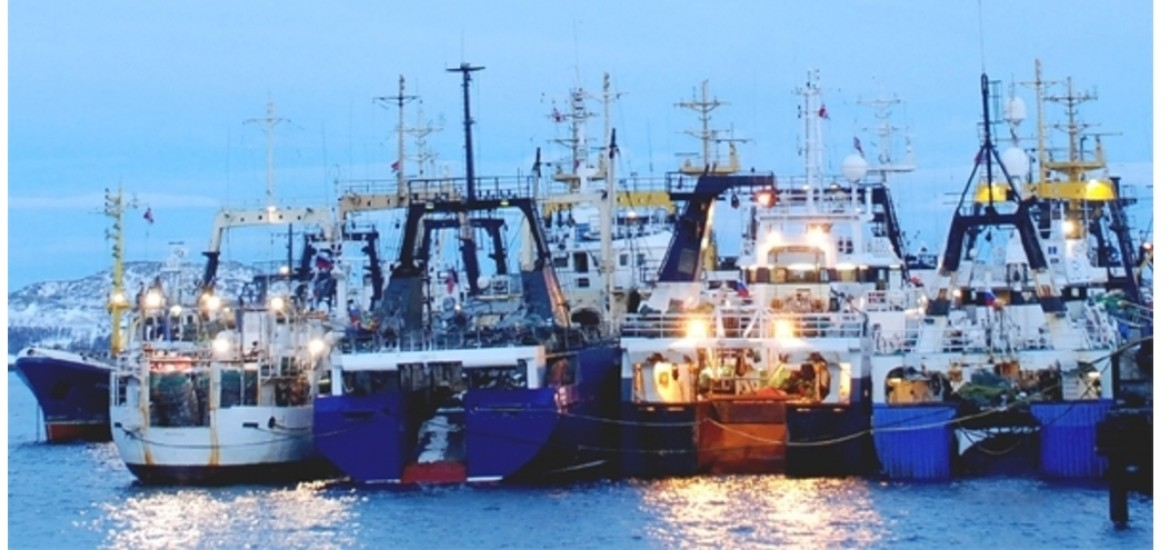 Seafood Sustainability - Responsible Sourcing