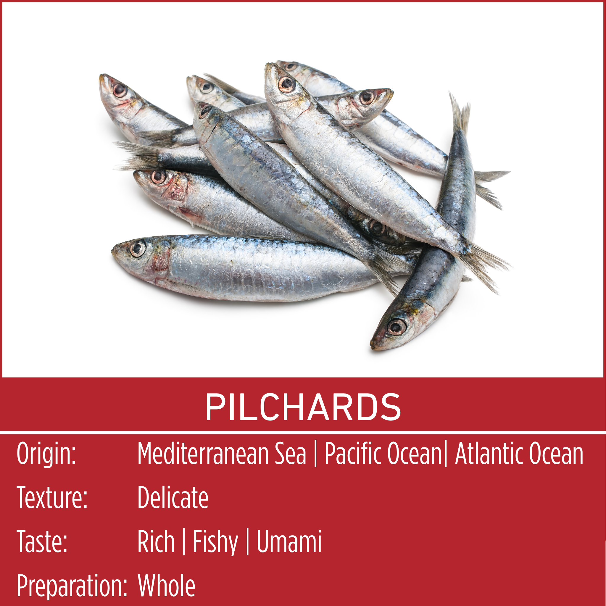 PILCHARDS