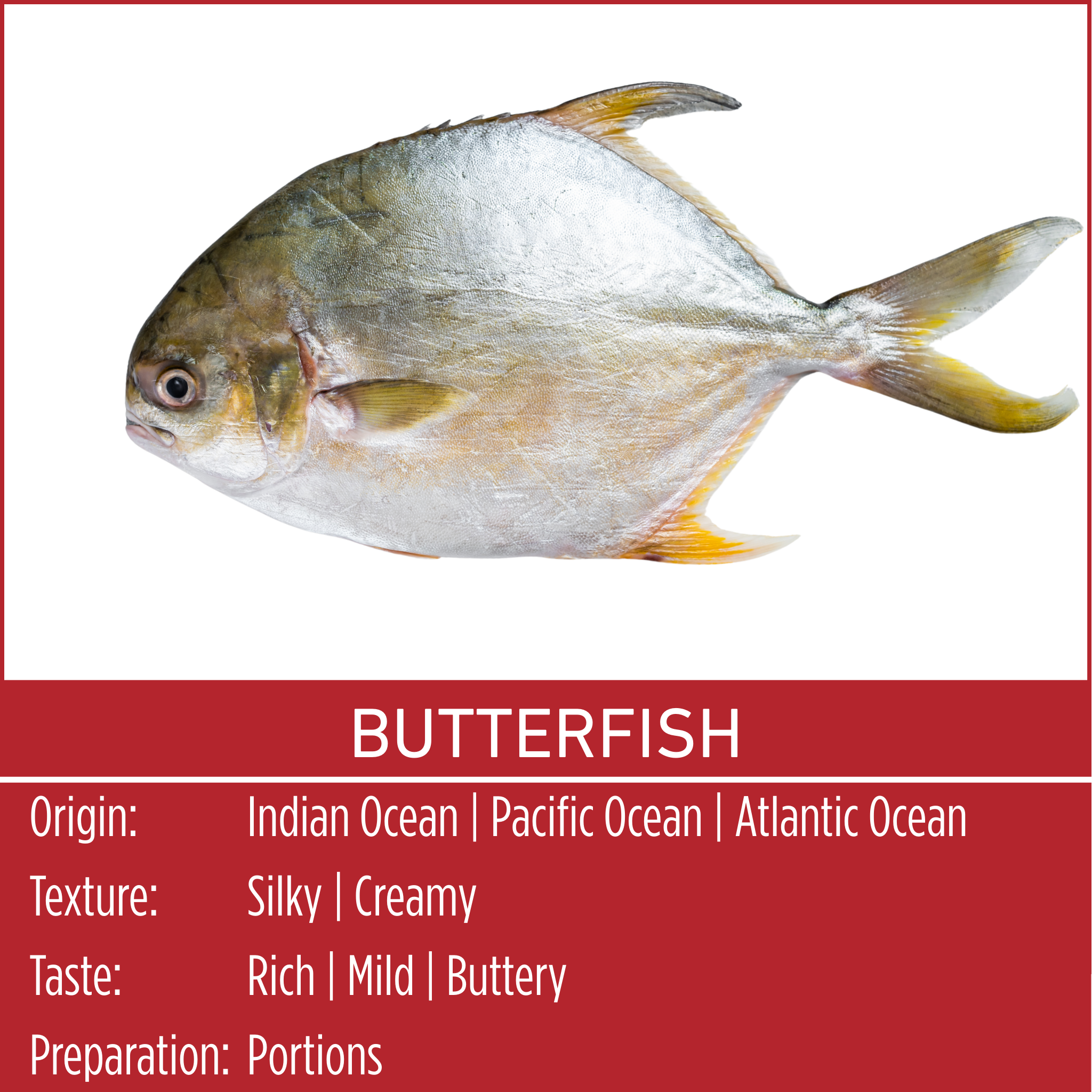 BUTTERFISH