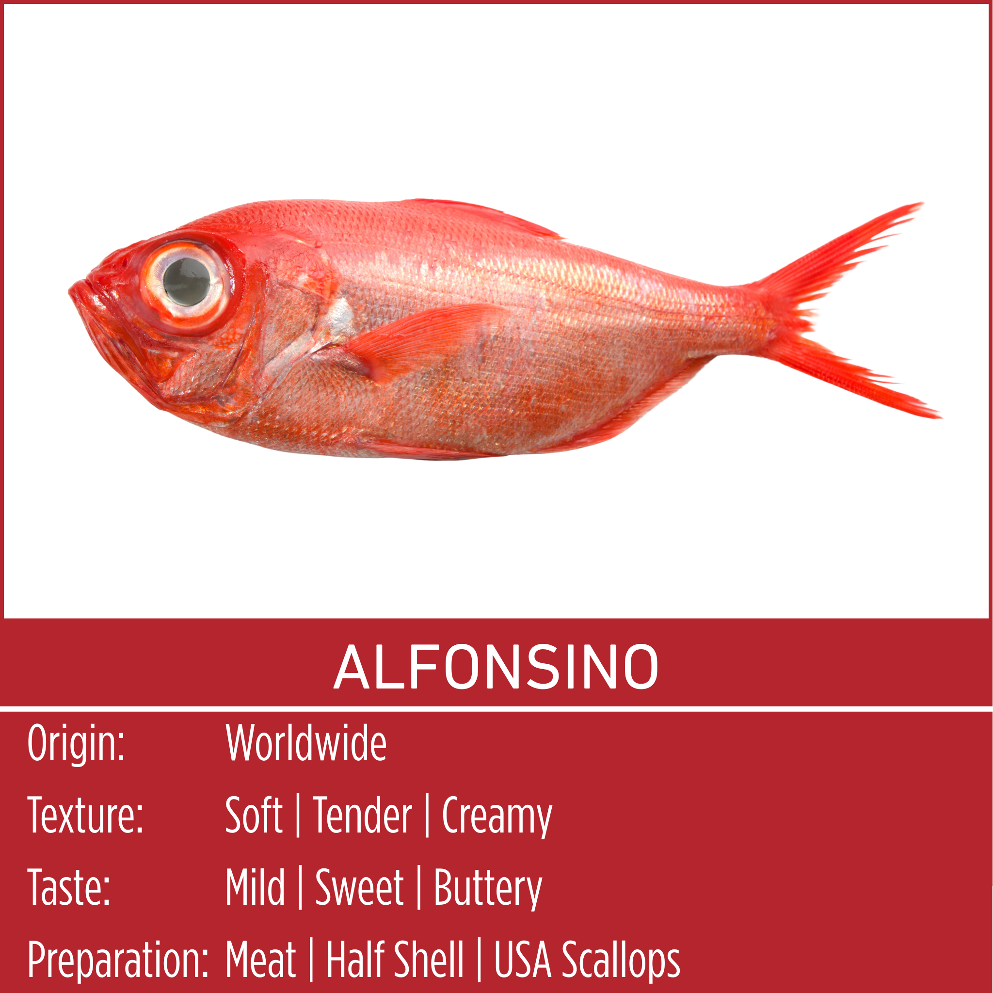 ALFONSINO