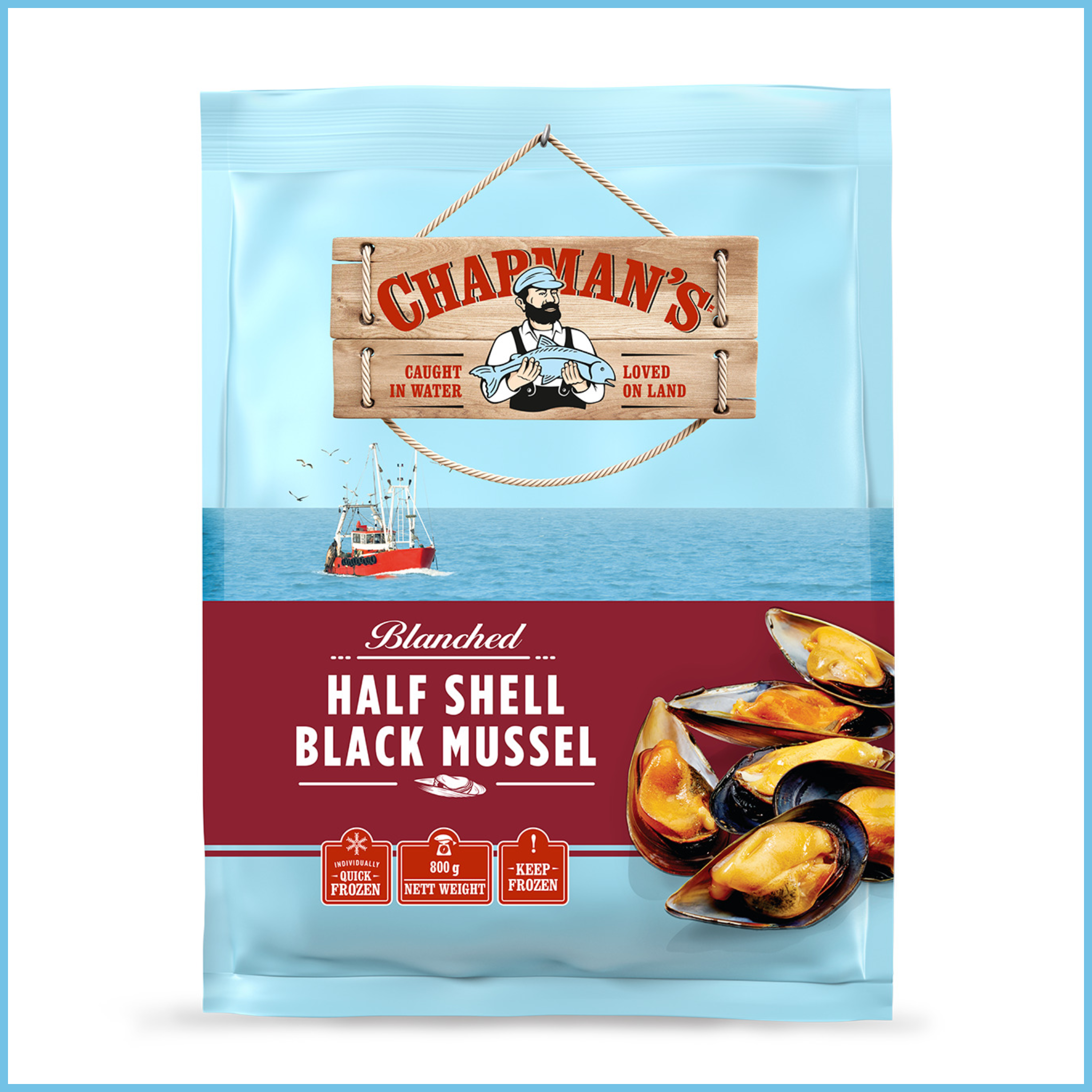 Half Shell Black Mussel