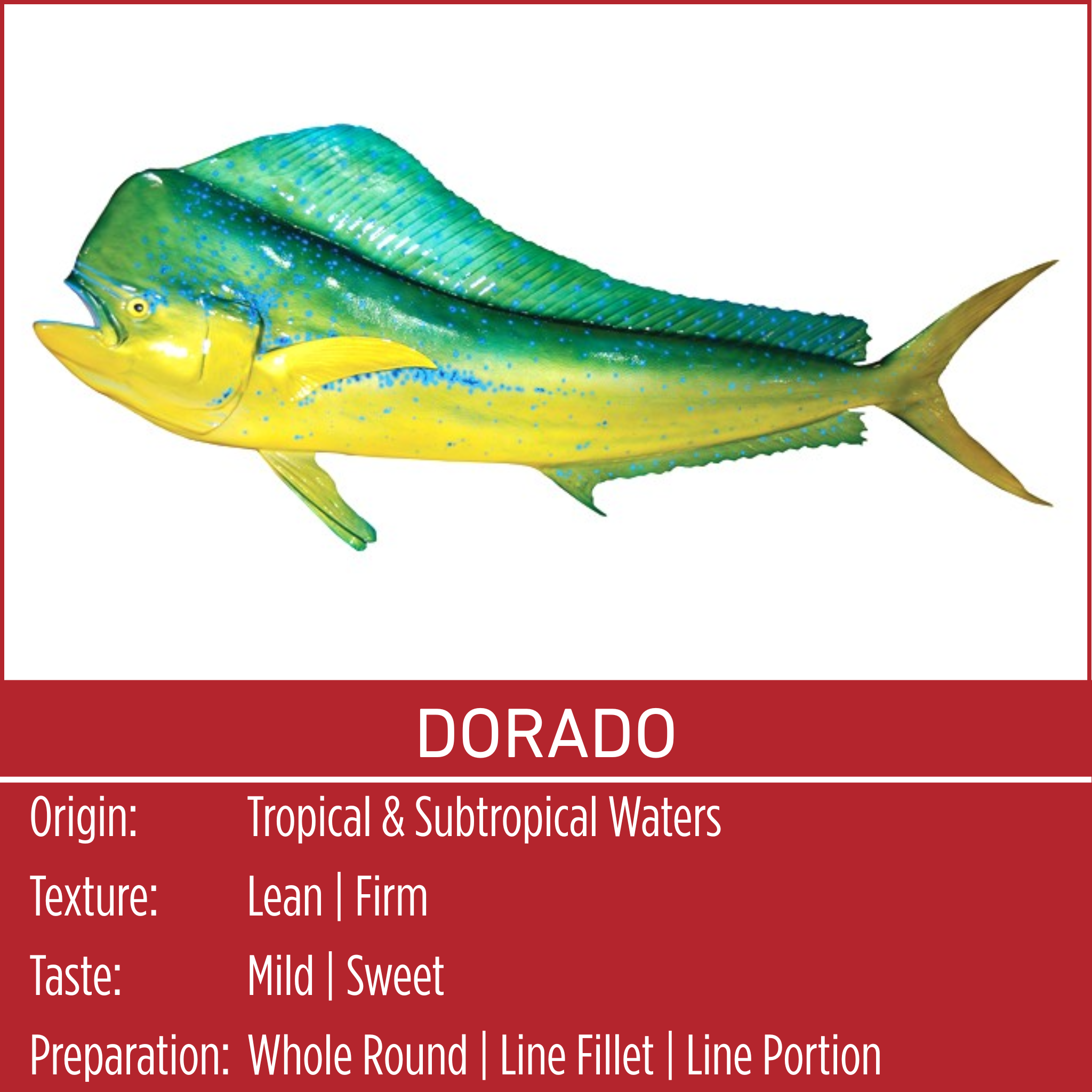 DORADO