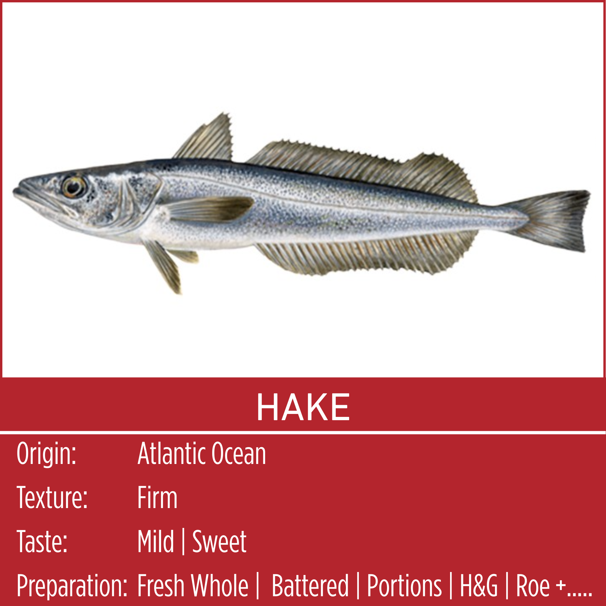 HAKE