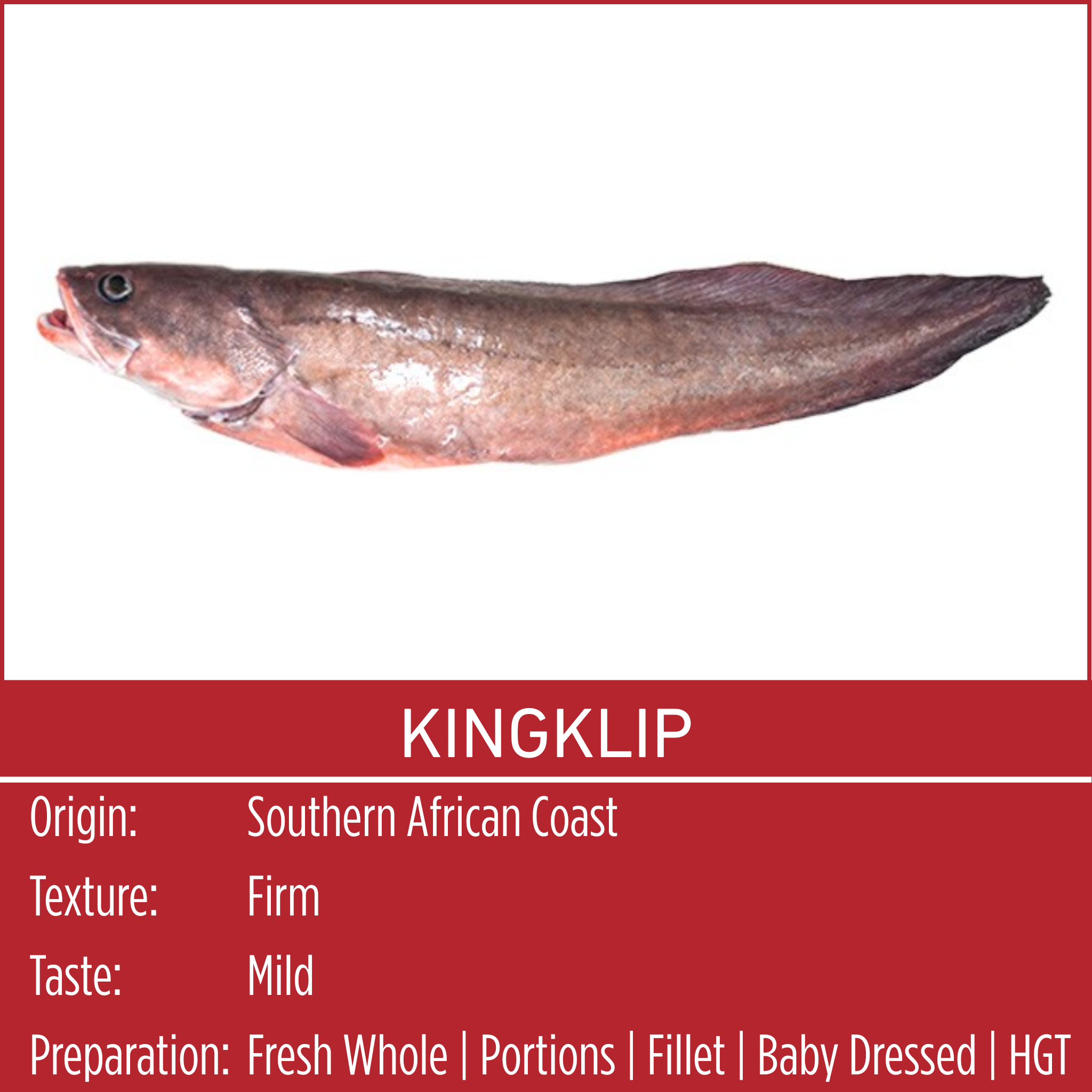 KINGKLIP