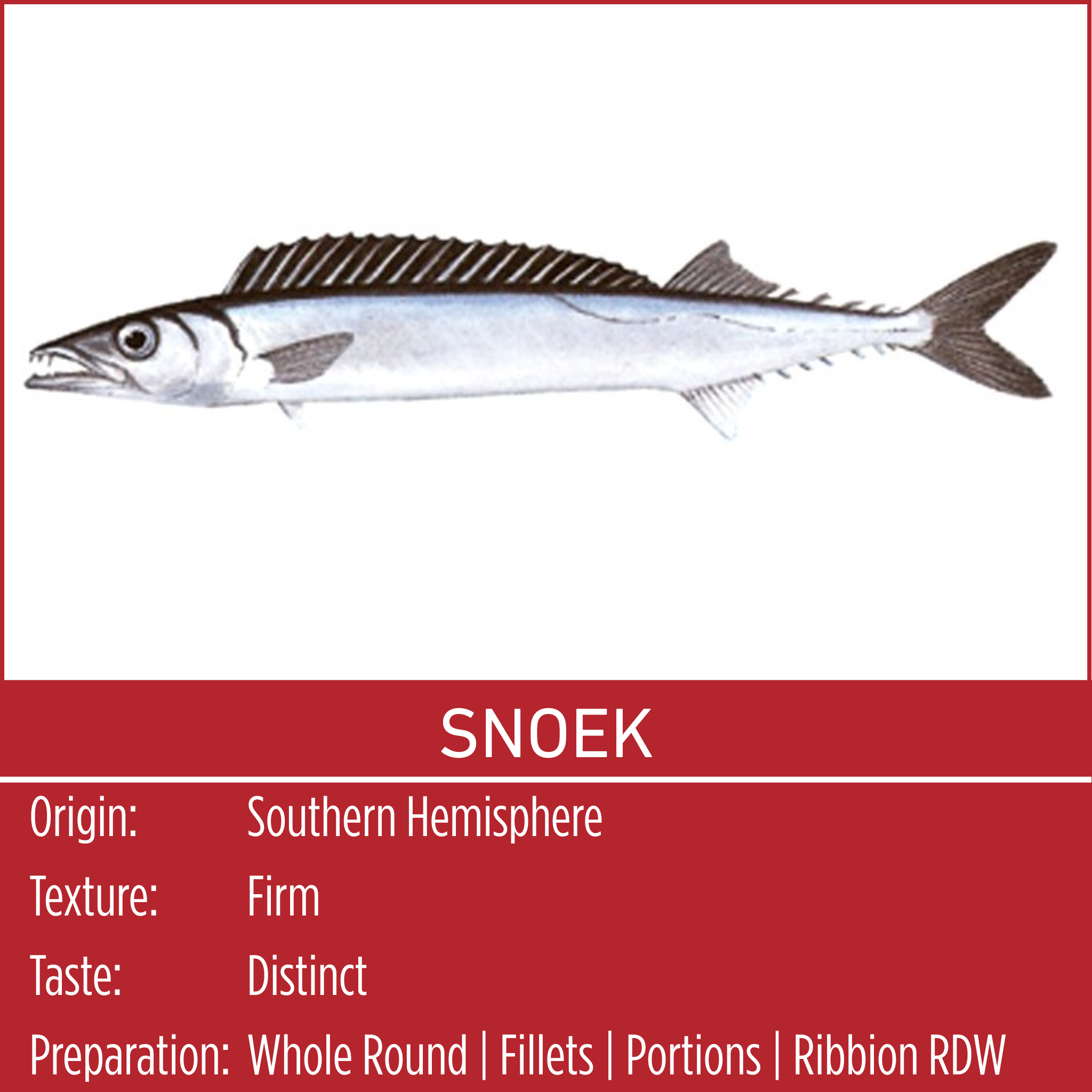SNOEK