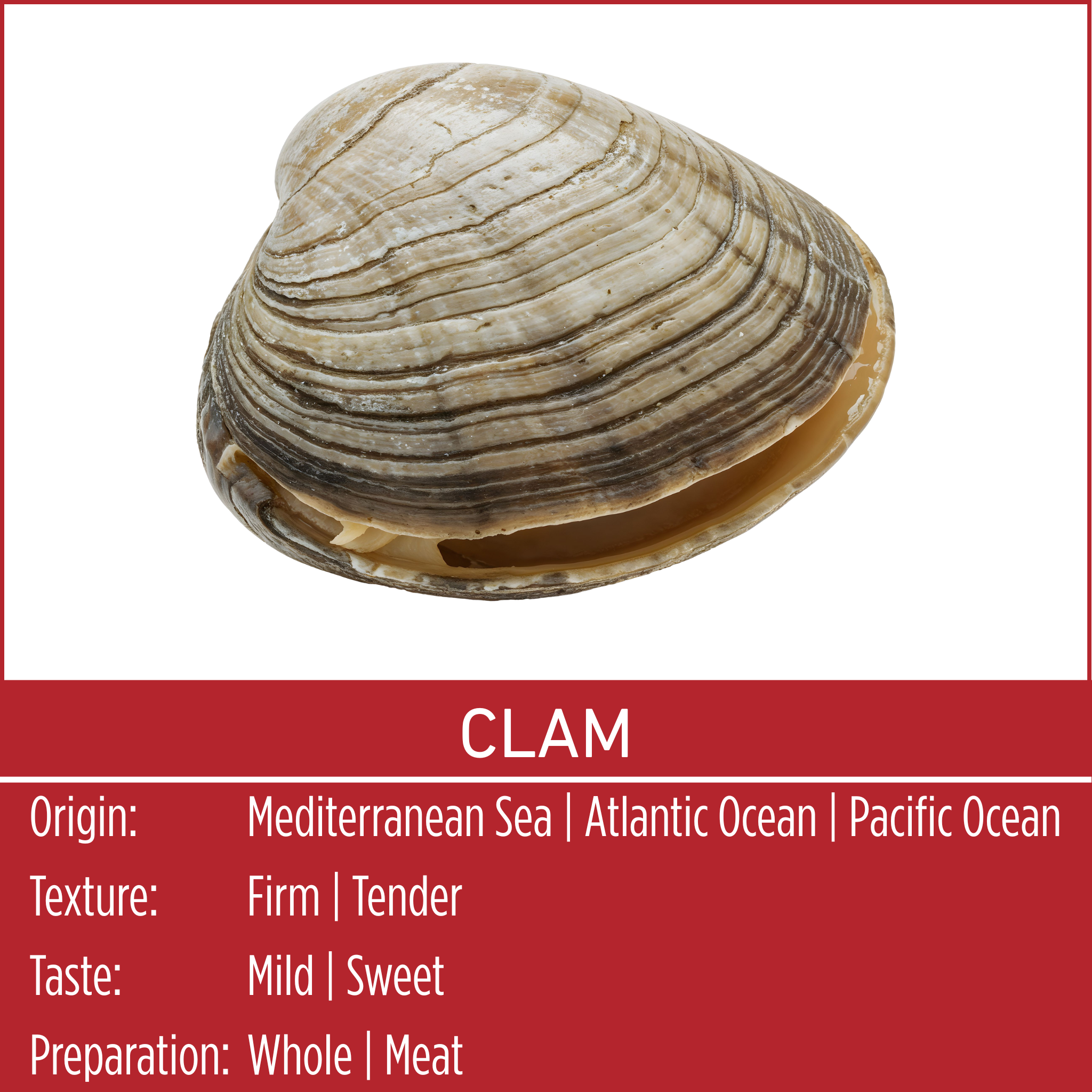 CLAM