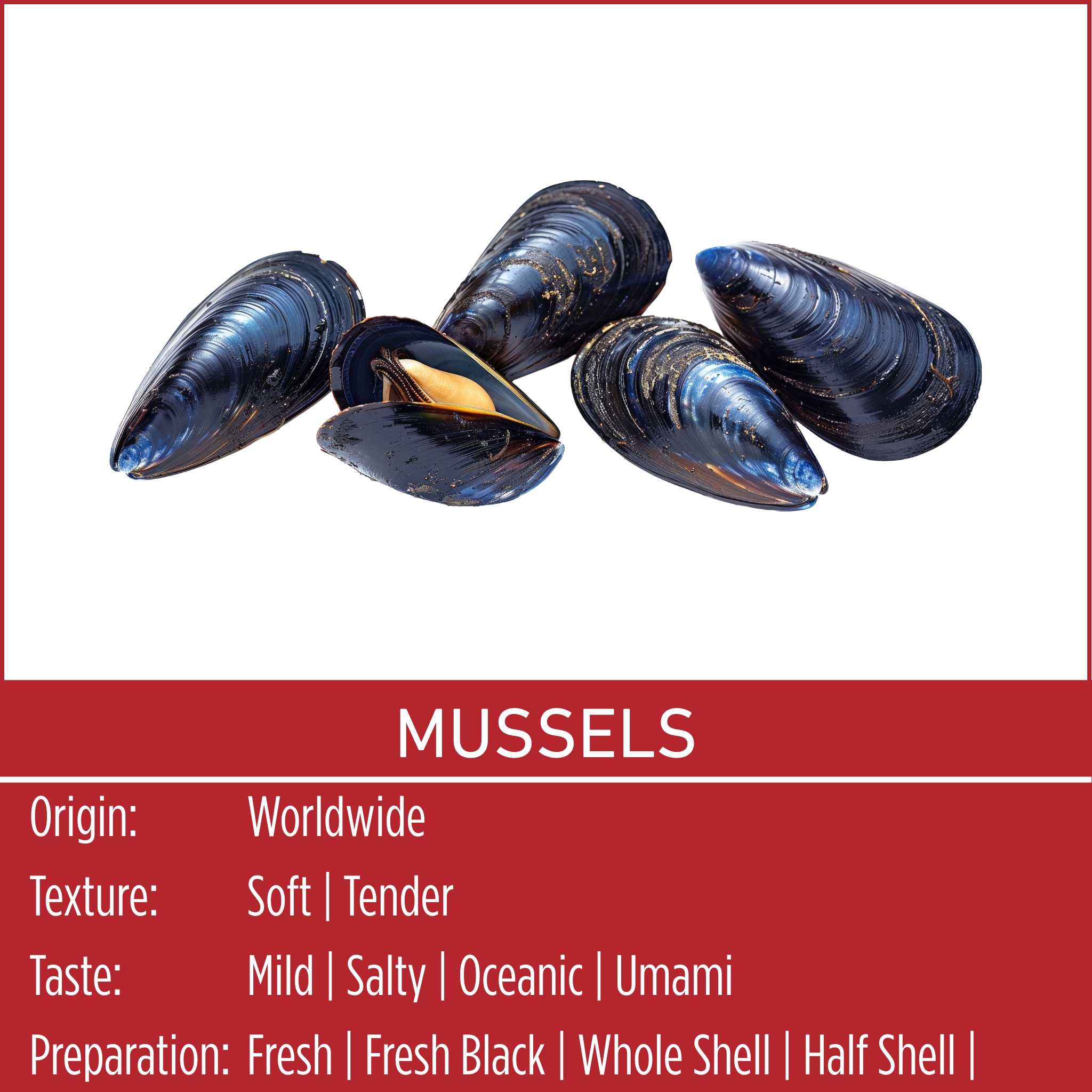 MUSSELS