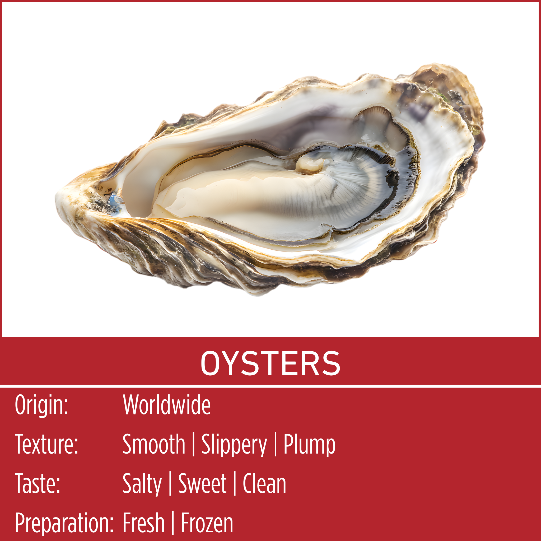 OYSTERS