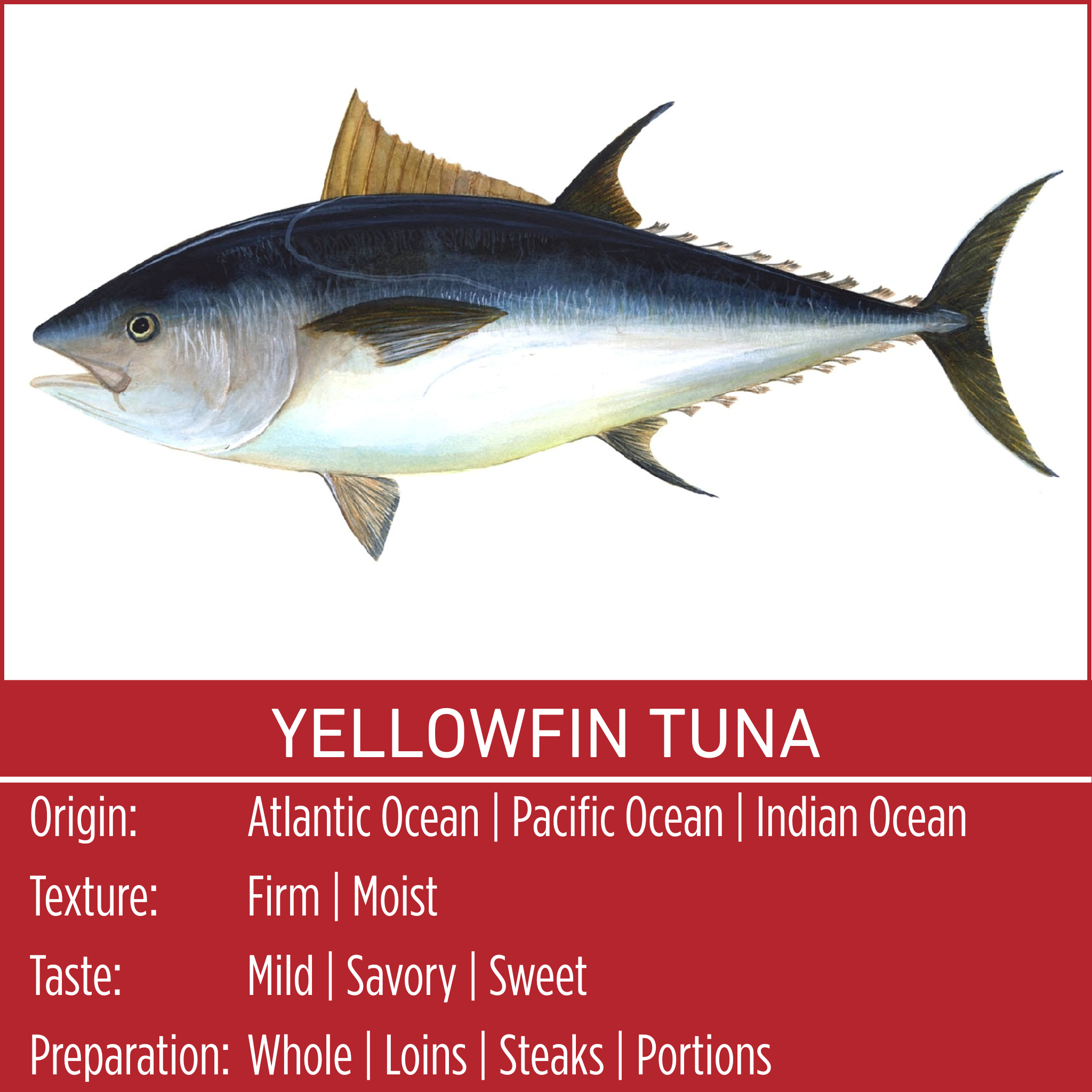YELLOWFIN TUNA