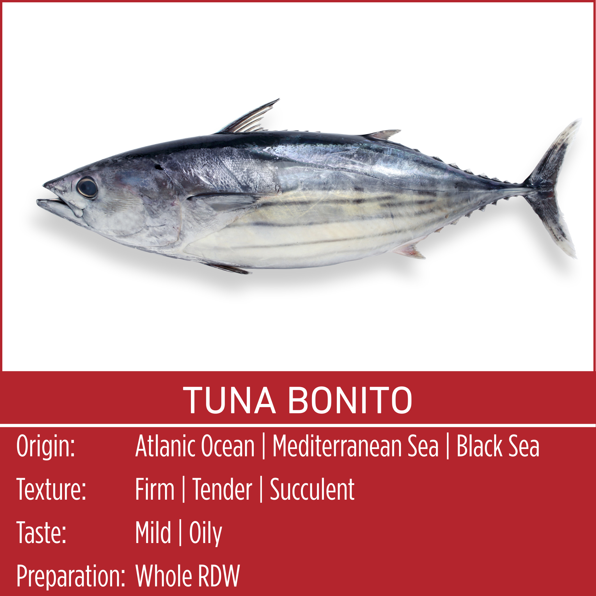 TUNA BONITO