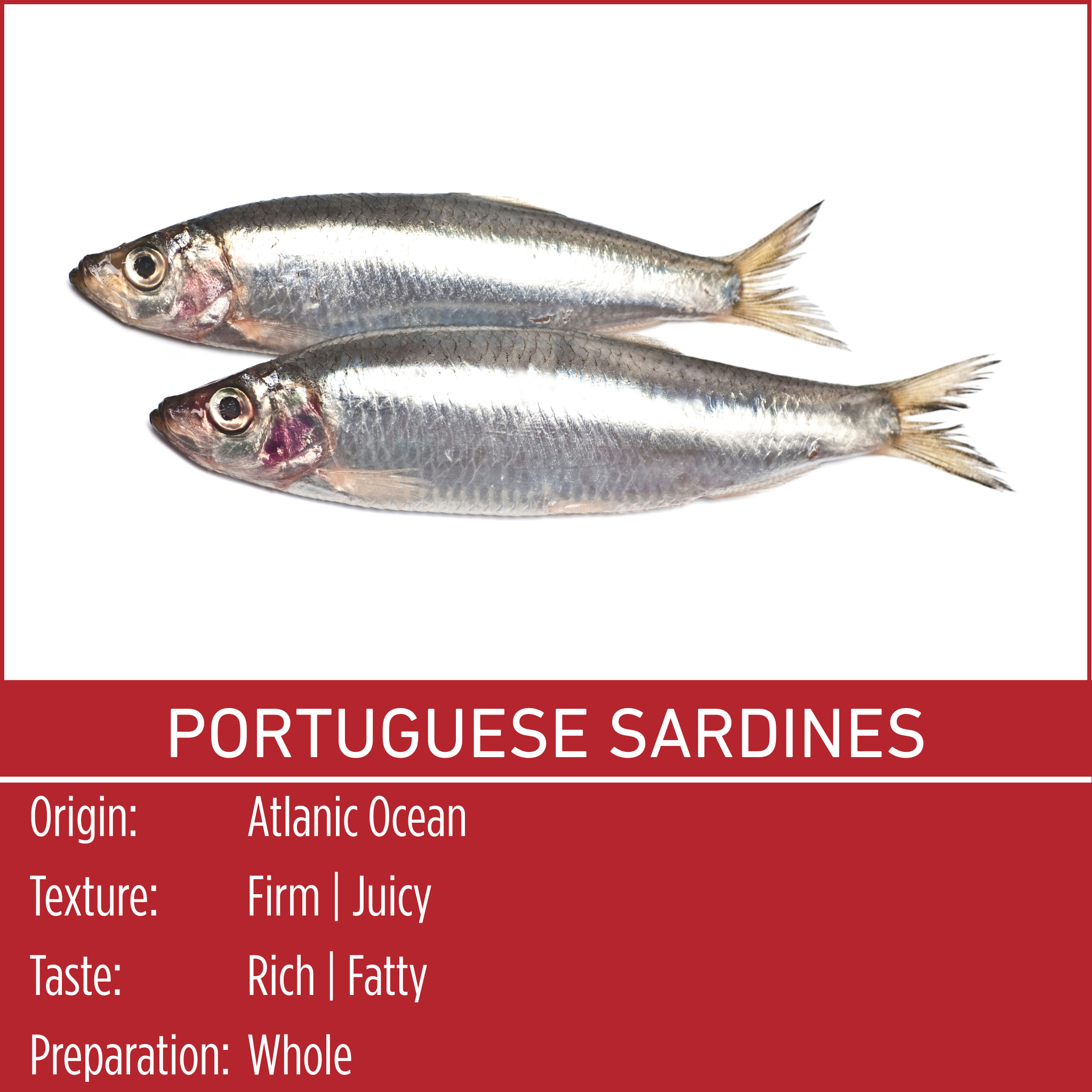 PORTUGUESE SARDINES