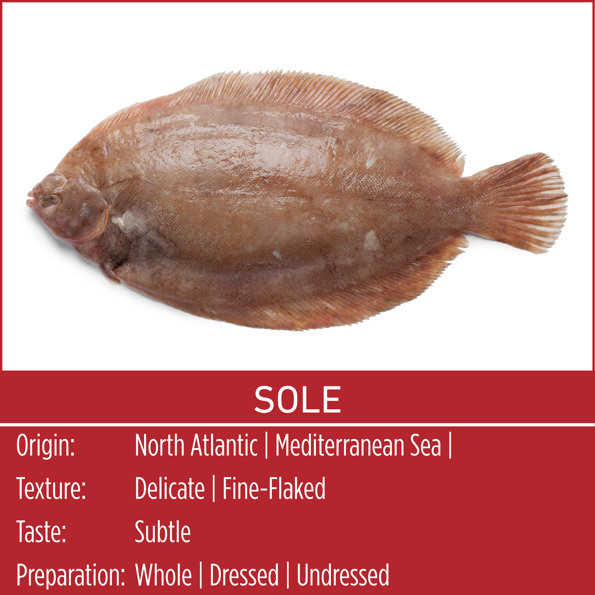 SOLE
