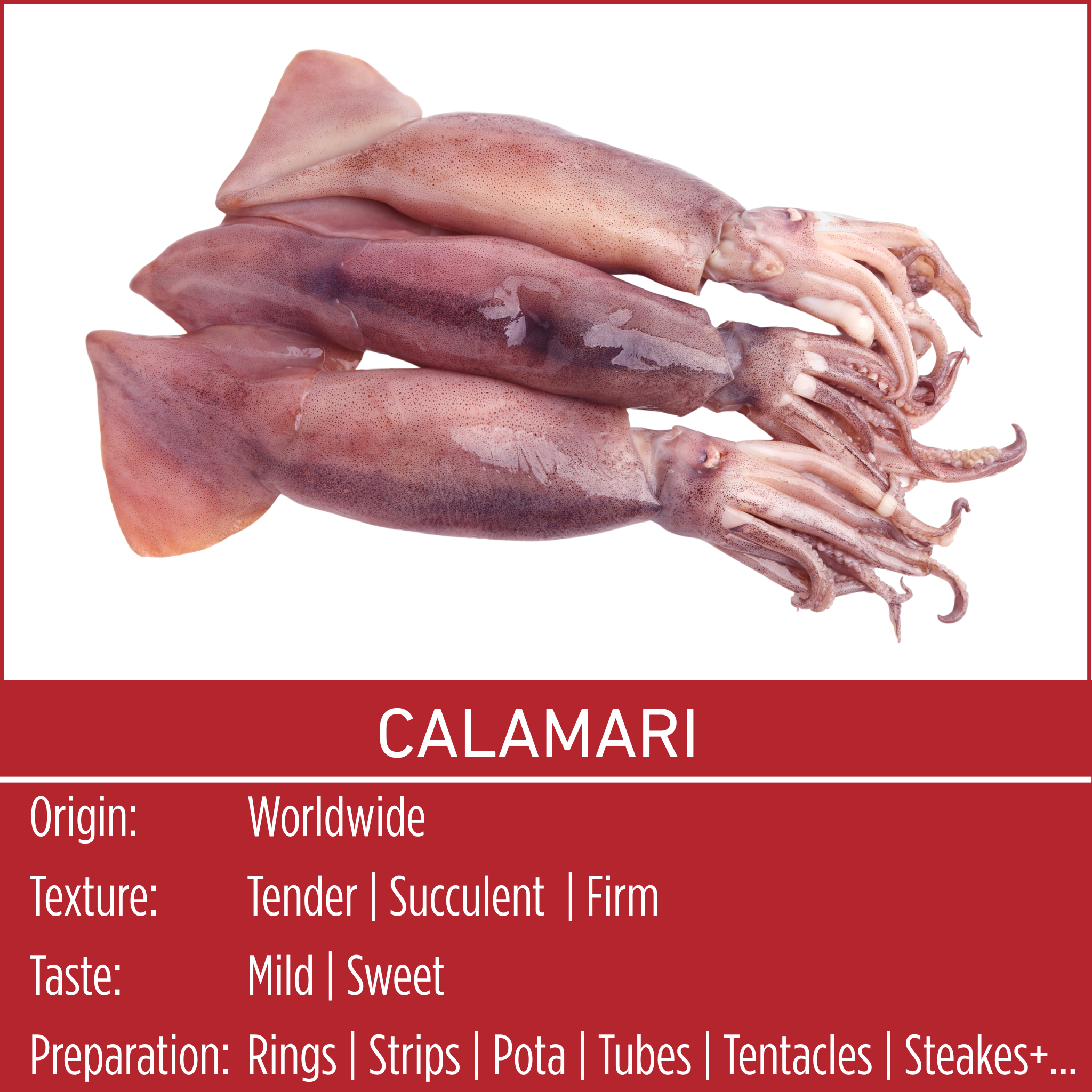 CALAMARI