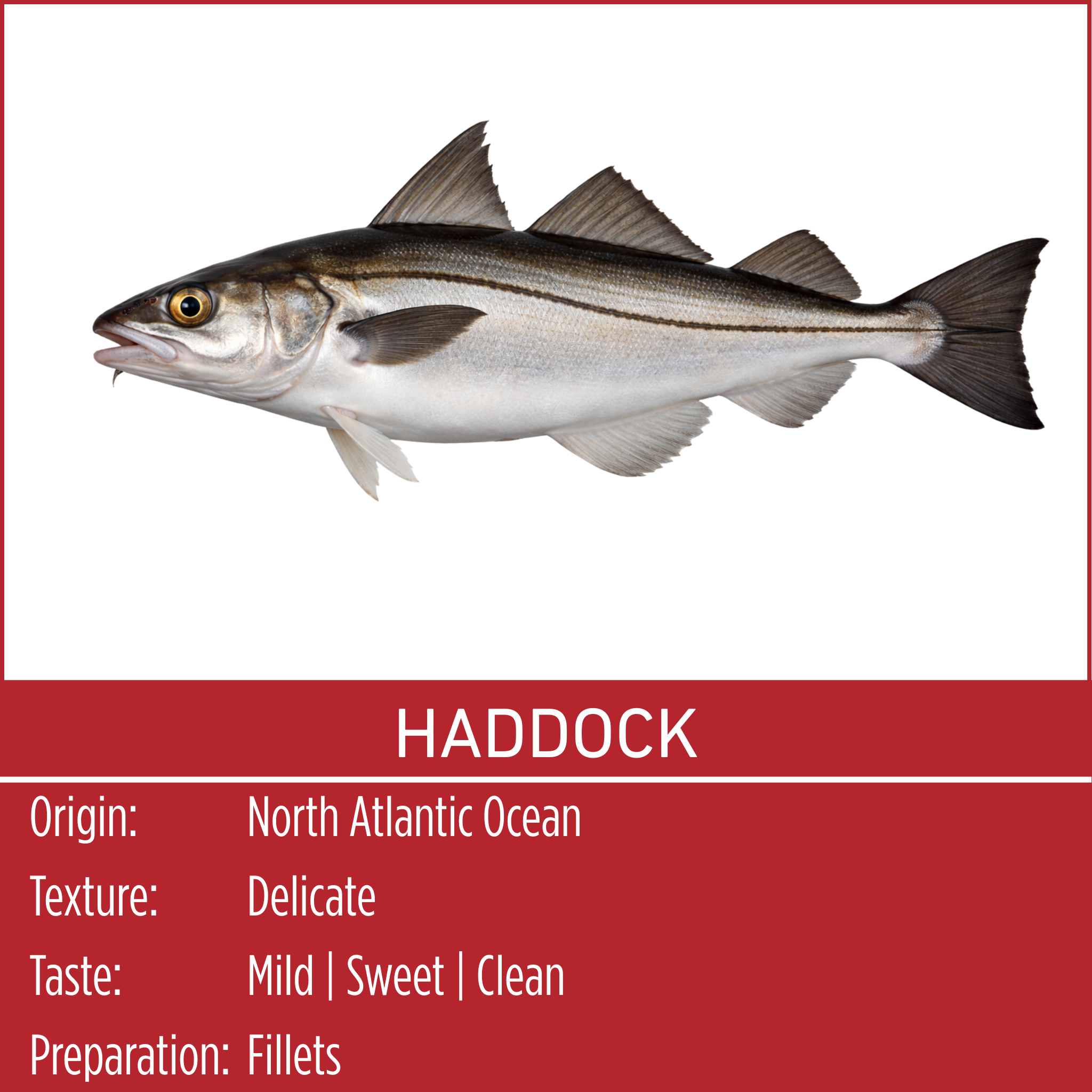 HADDOCK