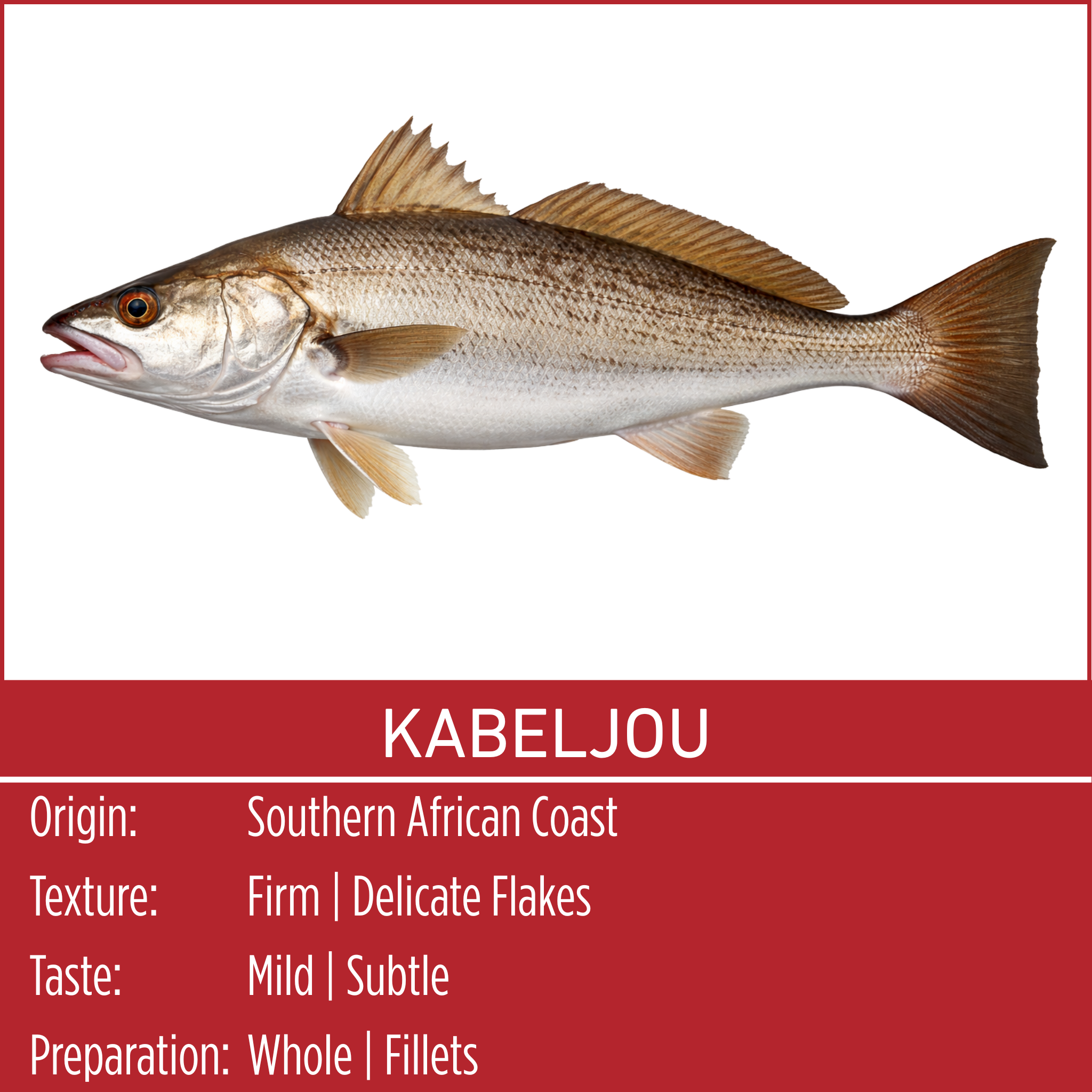 KABELJOU