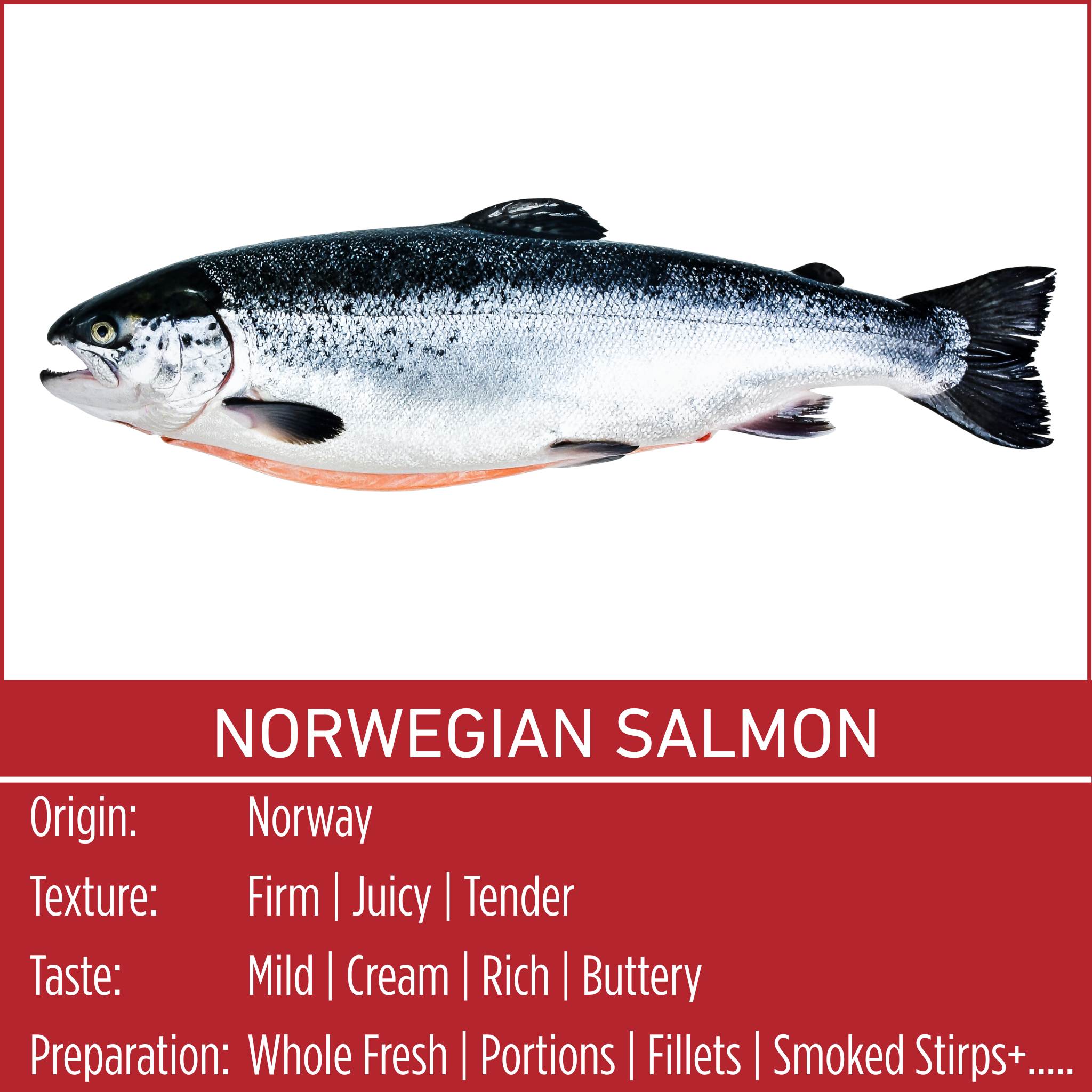 NORWEGIAN SLAMON