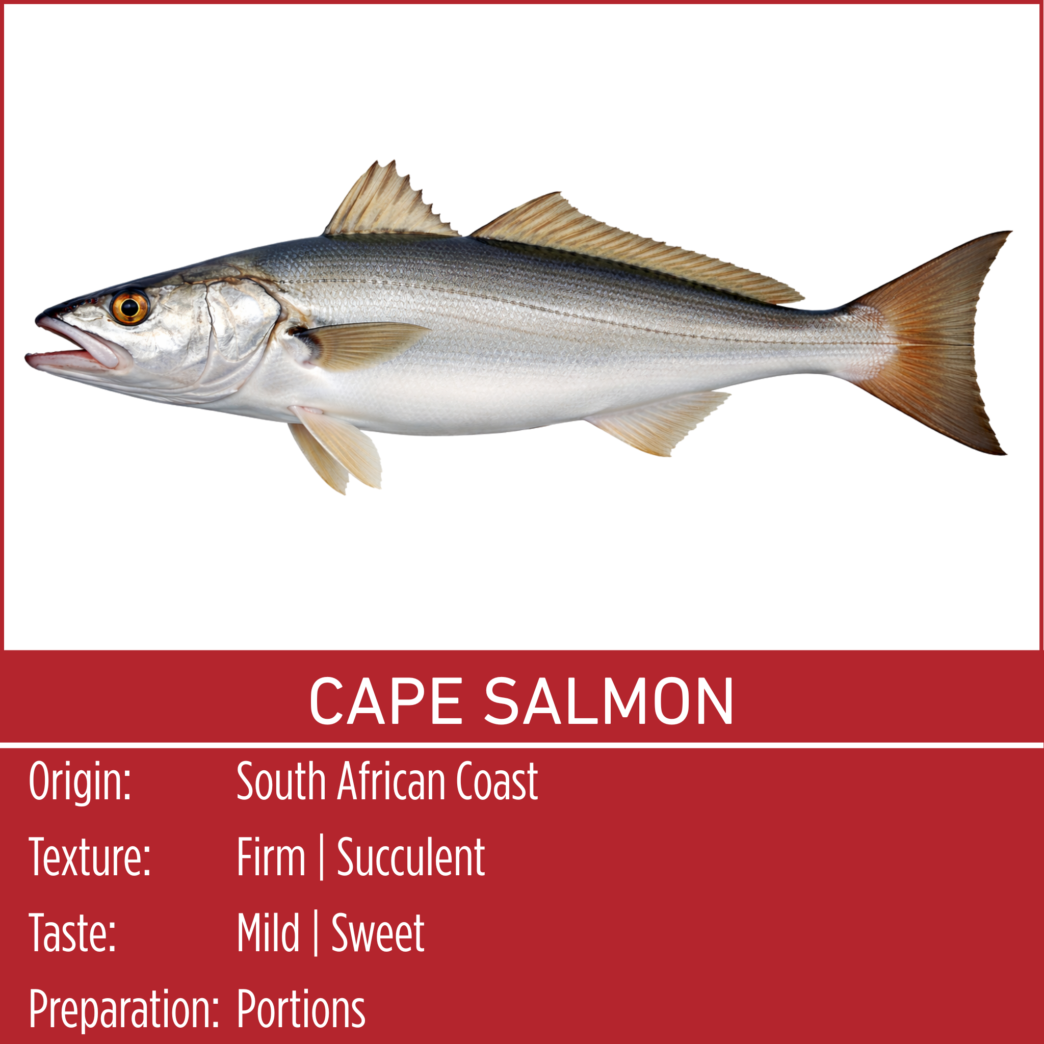 CAPE SALMON