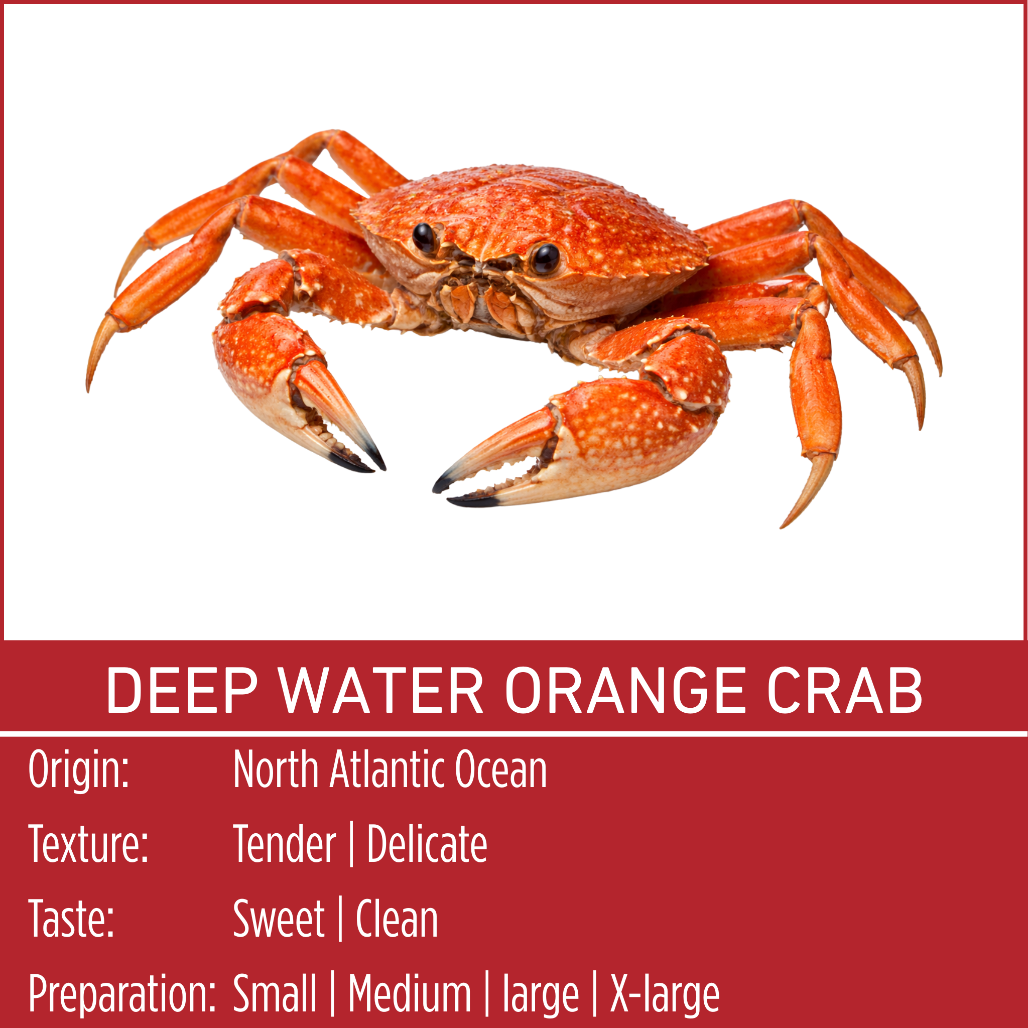 DEEP WATER ORANGE CRAB