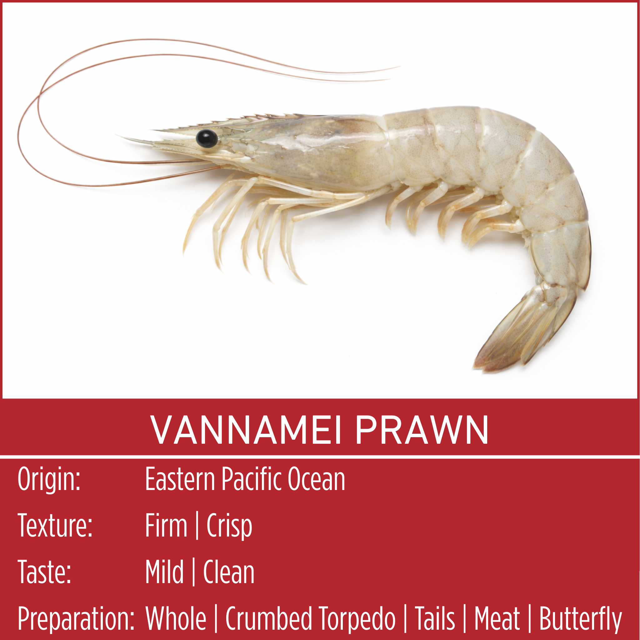 VANNAMEI PRAWN