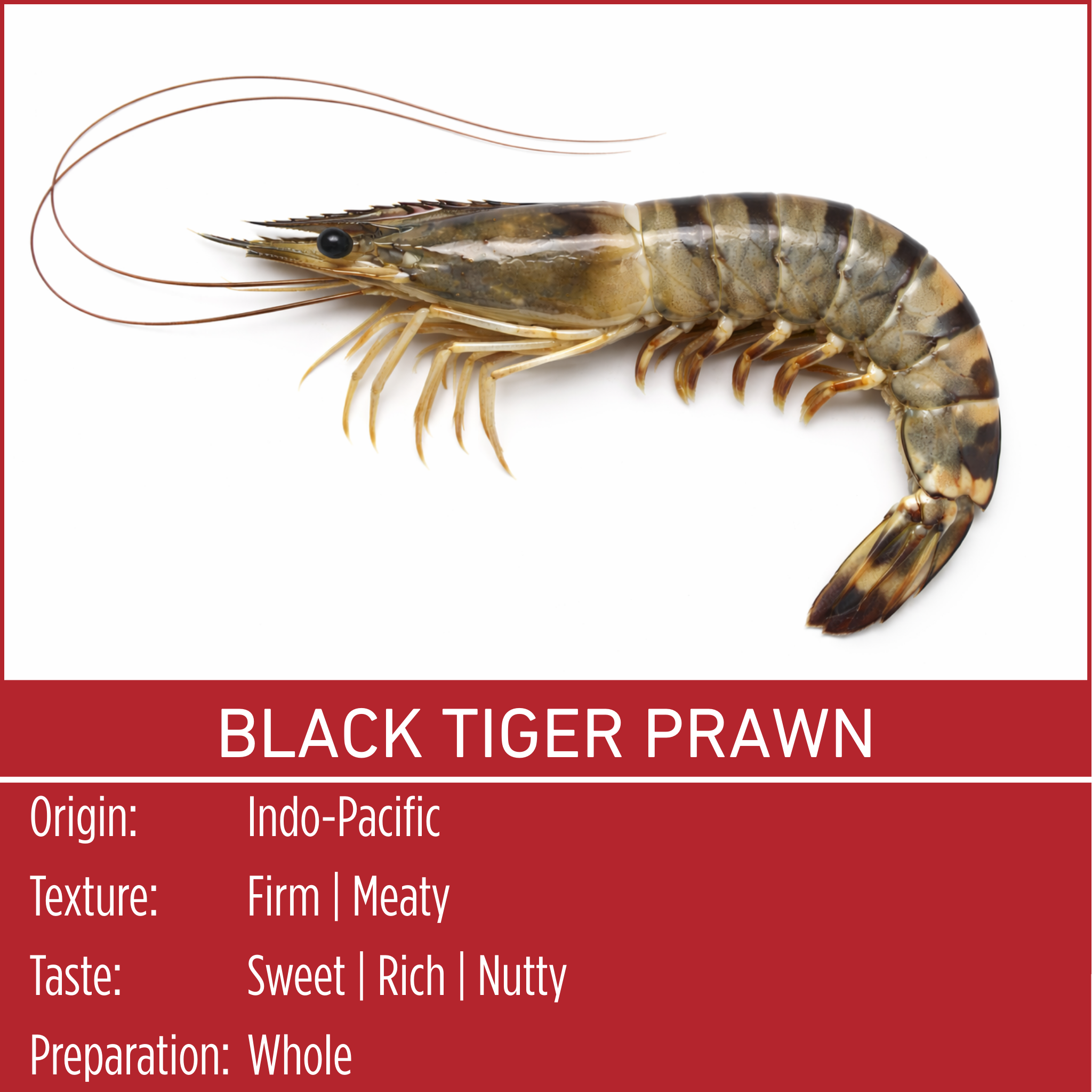 BLACK TIGER PRAWN