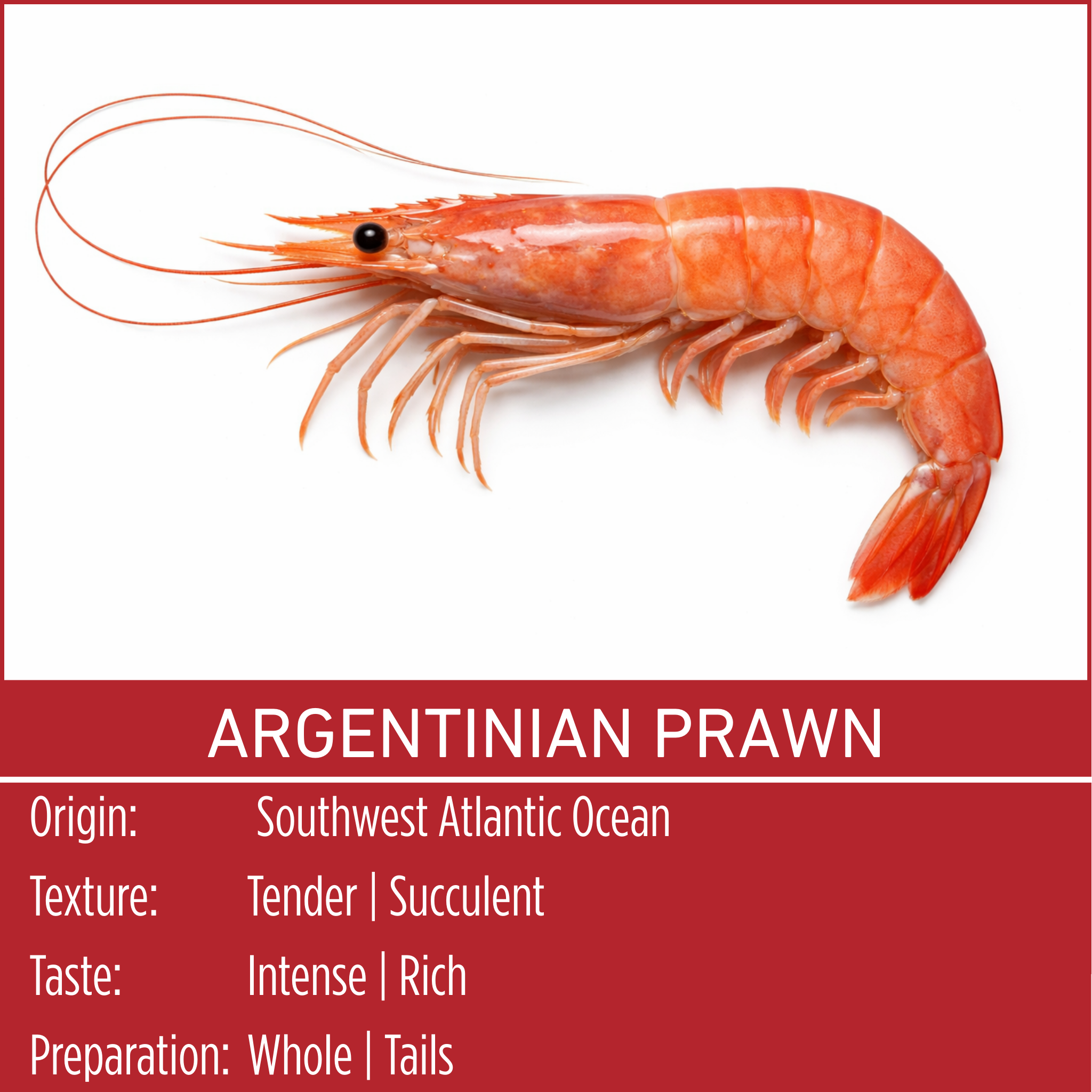 ARGENTINIAN PRAWN