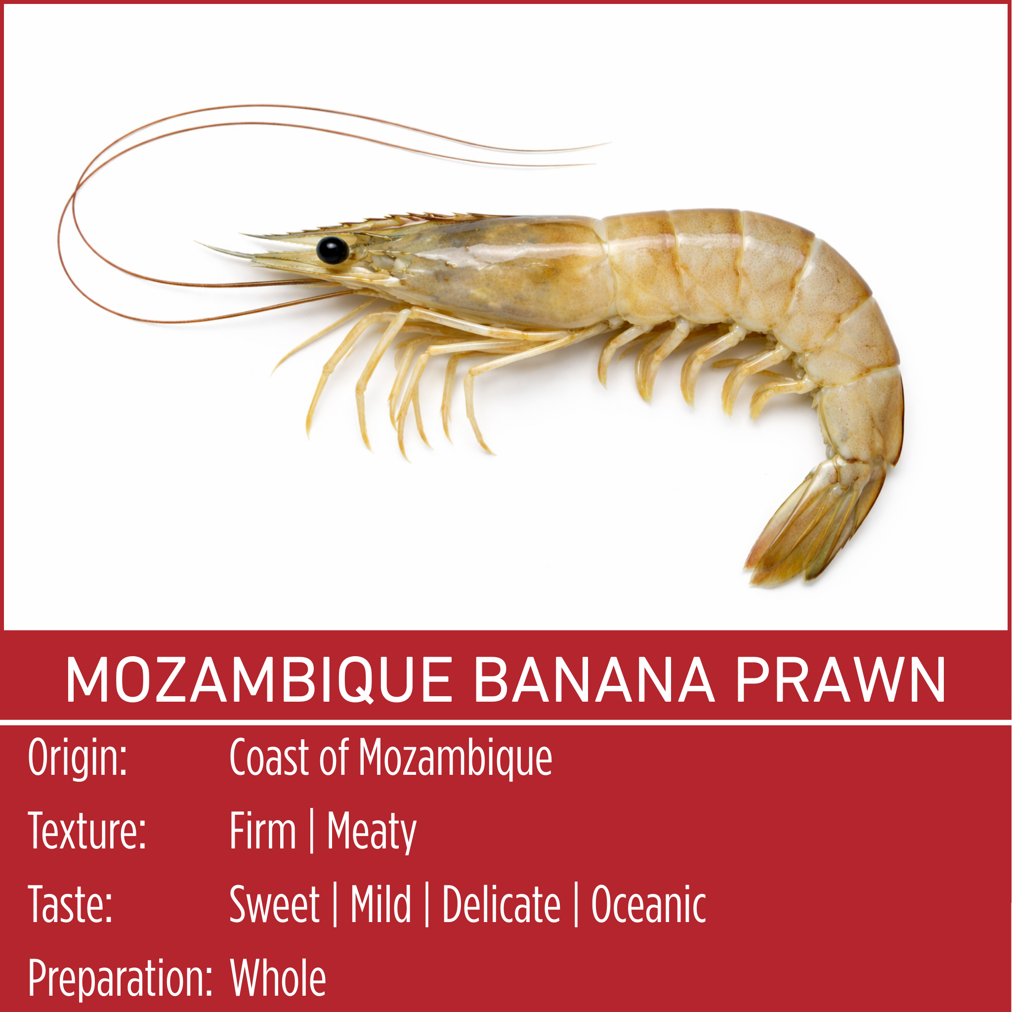 MOZAMBIQUE BANANA PRAWN